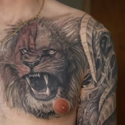 Same lion, fresh, wider crop