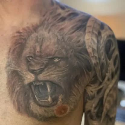 Same lion HEALED — redness settled