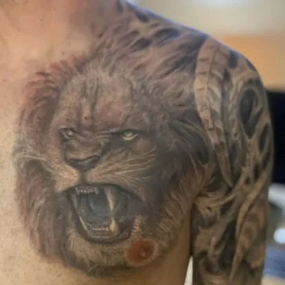Same lion HEALED — redness settled
